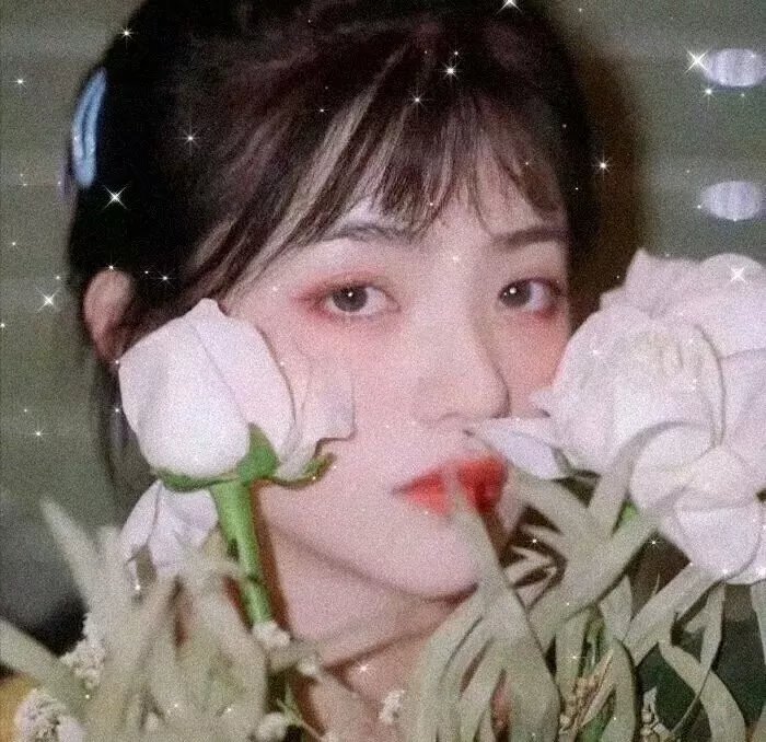 鱼缸